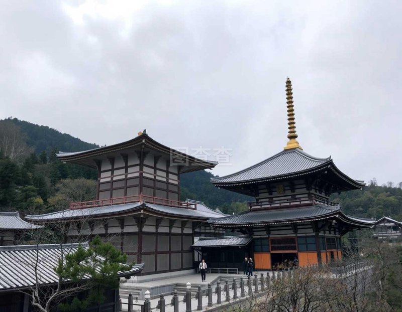 佛教寺院的演变与发展